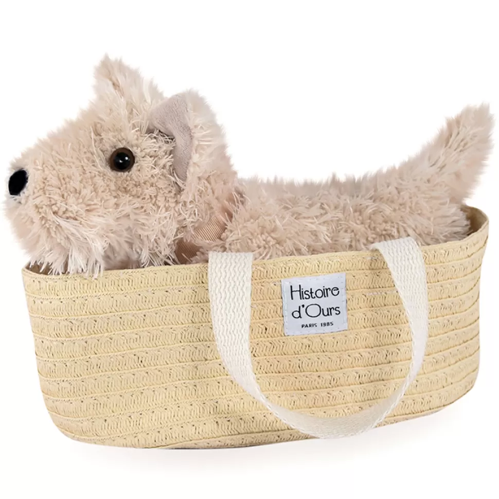 Histoire d'Ours Peluche>Fox - Les Petits Nomades