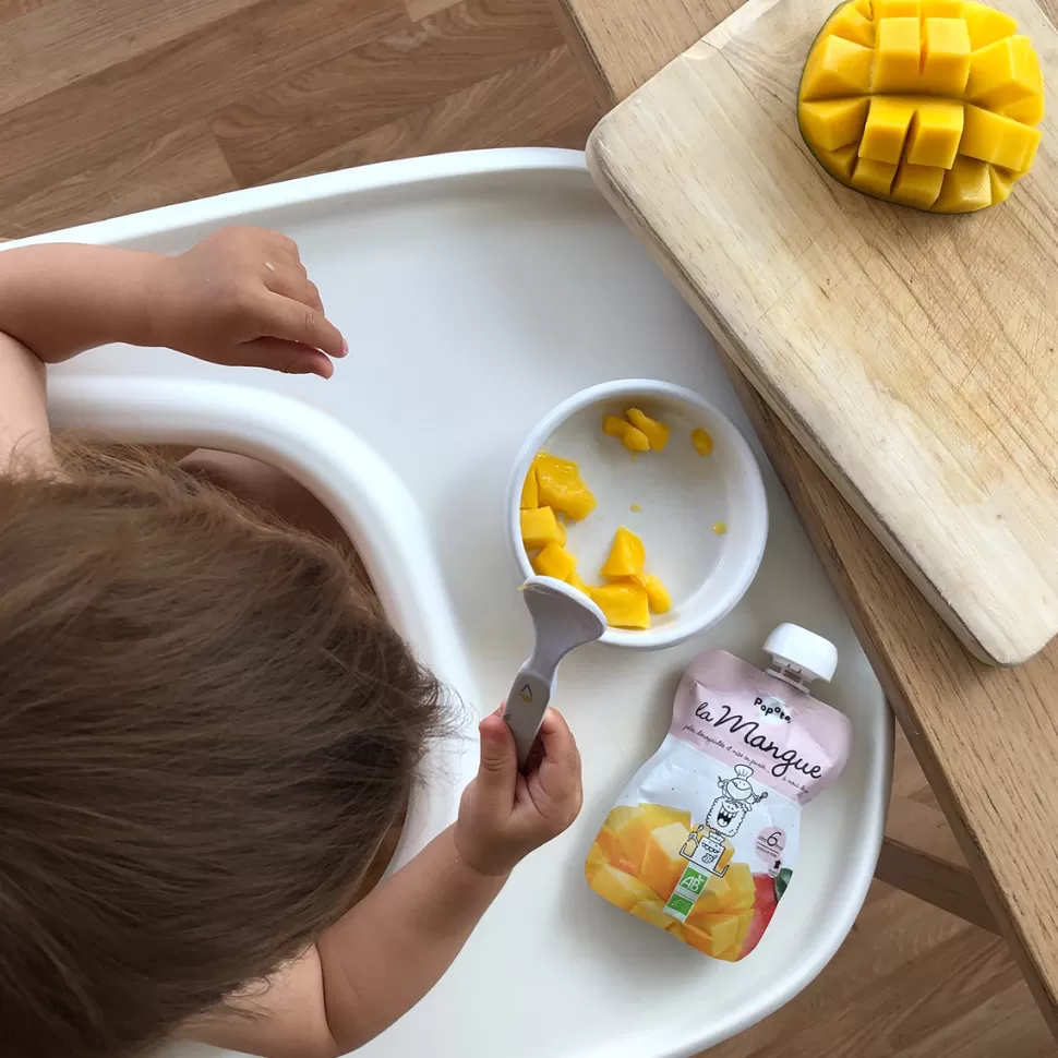 Popote Nourriture Bébé>Gourde Repas Bio Mangue - 120 g