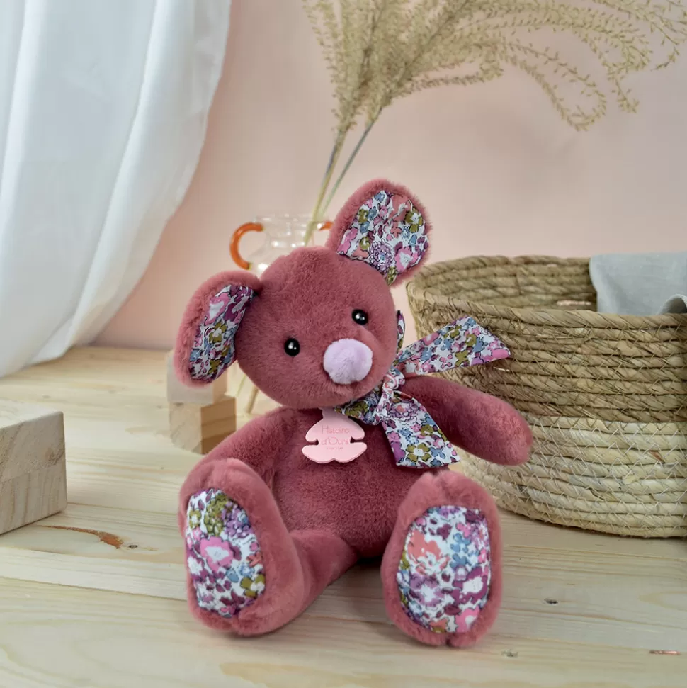 Histoire d'Ours Peluche>Souris Petit - Copain Câlin